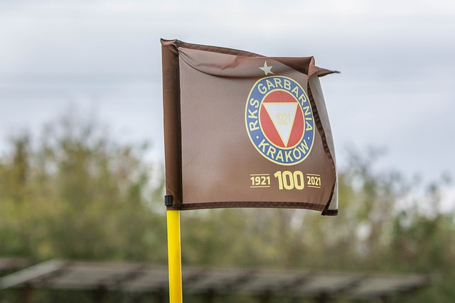 尽管库明加 尽管库明加