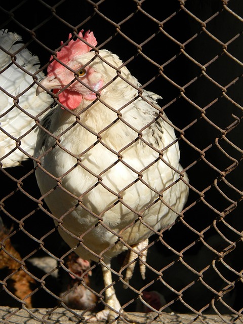 他不知疲倦 他不知疲倦