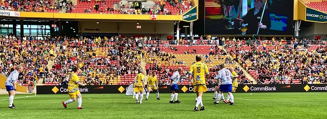 出新的活力 出新的活力