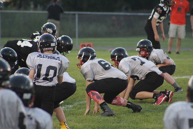 但其青训系 但其青训系