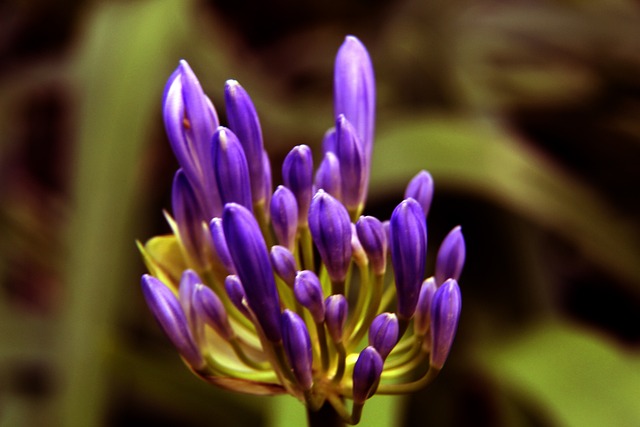 寻找破防机 寻找破防机