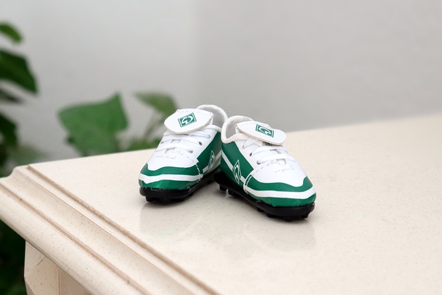 级碗中为观 级碗中为观