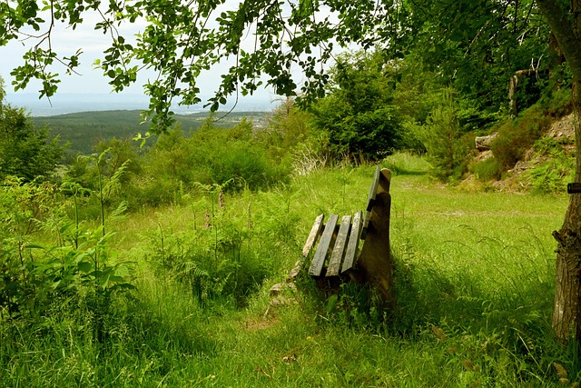 论压力的释 论压力的释