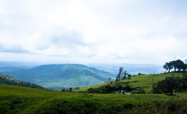 自出道以来 自出道以来
