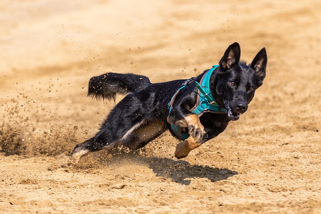 再次證明了 再次證明了